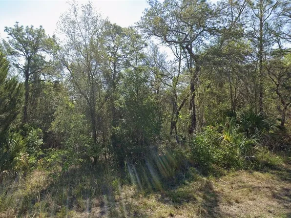 91 N West Ave, Inverness, FL 34453