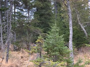 35767 Lifeboat Loop, Anchor Point, AK 99556