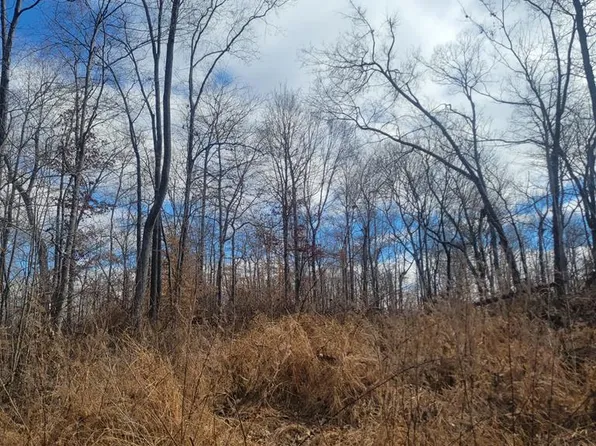 0 Tobaccoport Cir, Bumpus Mills, TN 37028