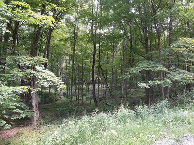 1407 Eminence Road, East Branch, NY, 13756