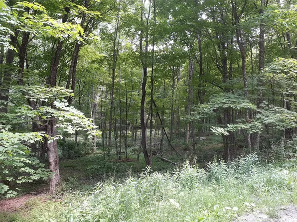 1407 Eminence Road, East Branch, NY 13756