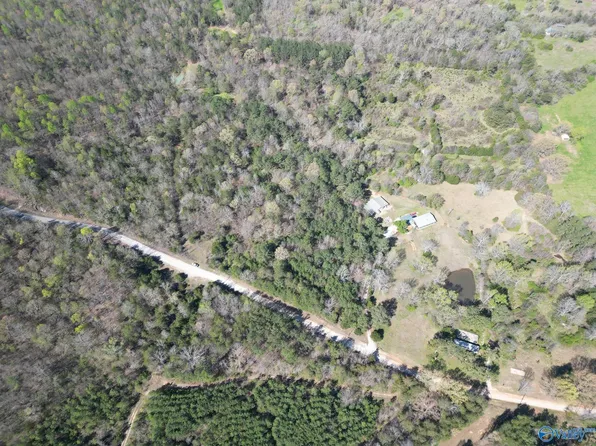 County Road 7, Moulton, AL 35650