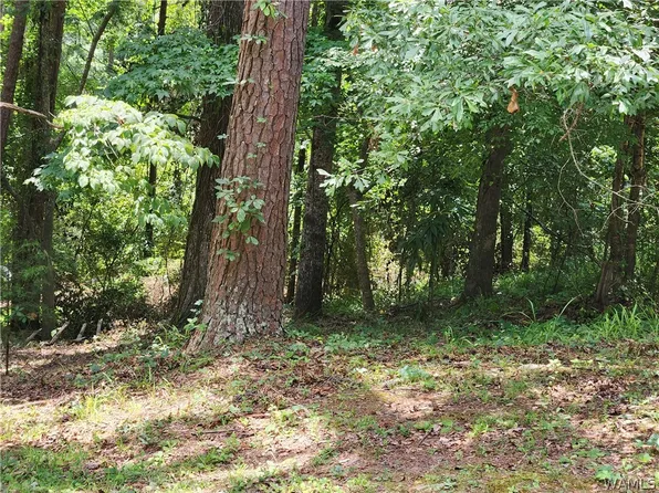 3833 Springhill Dr, Tuscaloosa, AL 35405