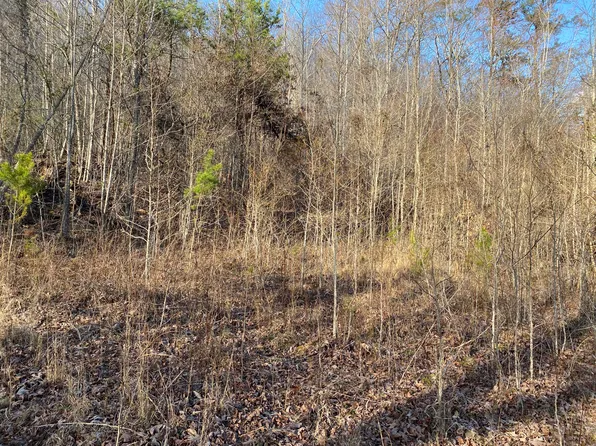 0 Little Wolf Creek Rd, Williamsburg, KY 40769