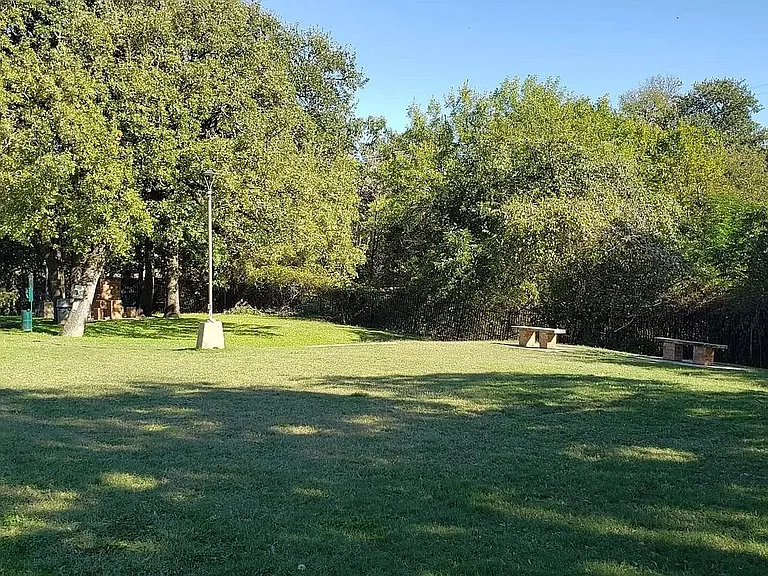 2310 Balsam Dr #B110 — Photo 6