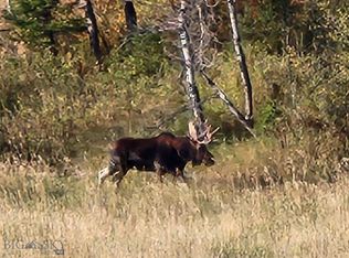 0 Chestnut Rd, Bozeman, MT 59715