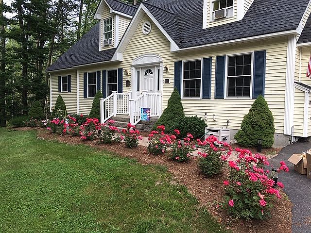 Forest - Beautiful Cape Cod