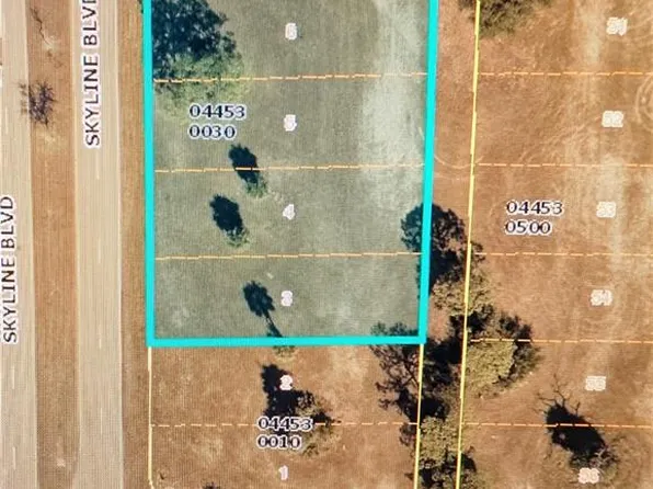 1119 Skyline BLVD, CAPE CORAL, FL 33991
