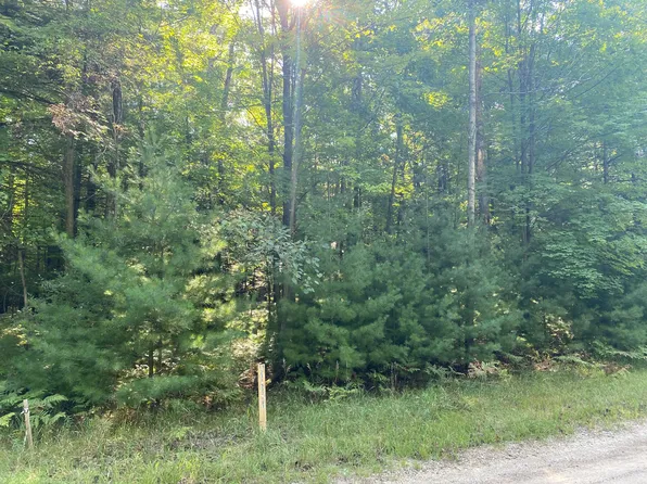 6842 White Pine Dr, Stanwood, MI 49346