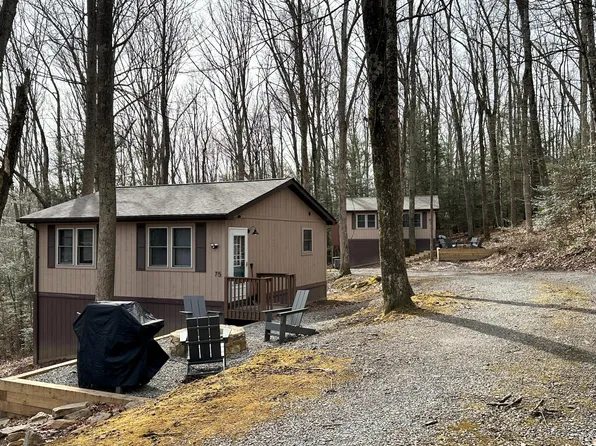 75 Lightfoot Ln, Mount Lookout, WV 26678