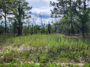 SW Winding Hills Rd LOT 4, Dunnellon, FL 34431