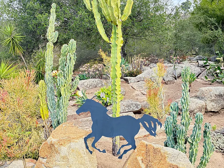 Old Guejito Grade Rd — Photo 2
