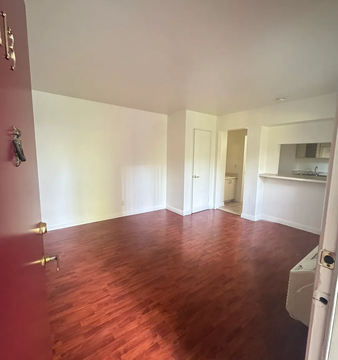 Studio, 310 sqft, $1,200 — Photo 2