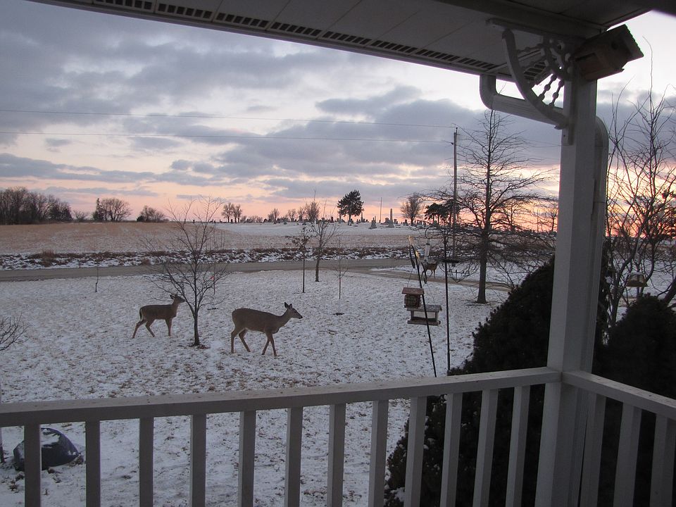 S/W View from front porch 