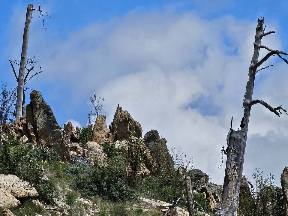 19th image of Nhn Blind Creek Draw Rd