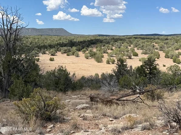 56568 N Avenida Derecha, Seligman, AZ 86337
