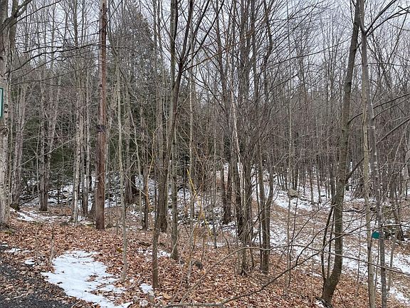 3rd image of 0 Larsen Drive