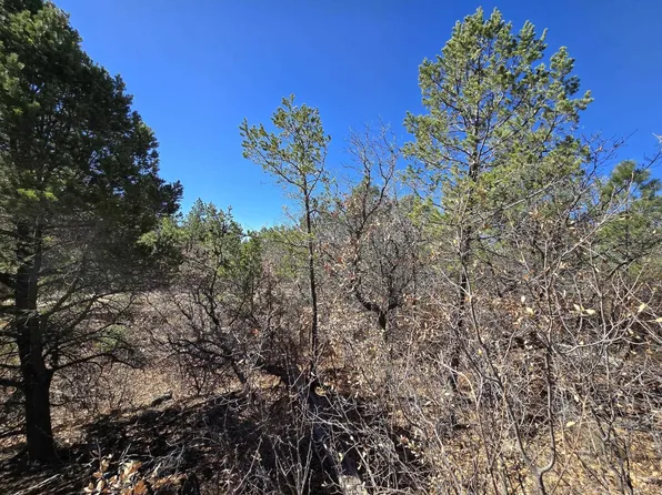0 Miles Loop, Timberon, NM 88350