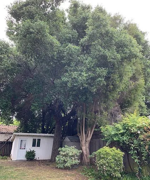 675 Middle Ave — Photo 19