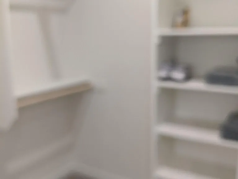 Master Closet