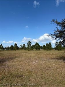 2510 W Butkus Rd, Avon Park, FL, 33825