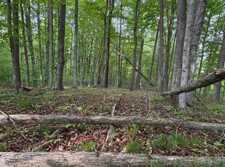 Erie St PARCEL D, East Jordan, MI 49727