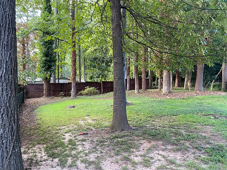 Back yard with fence