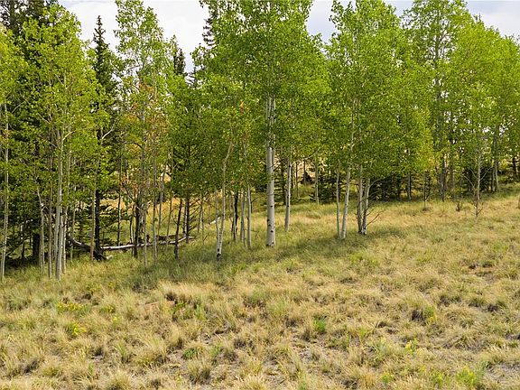 3rd image of 540 Turk Pony Way