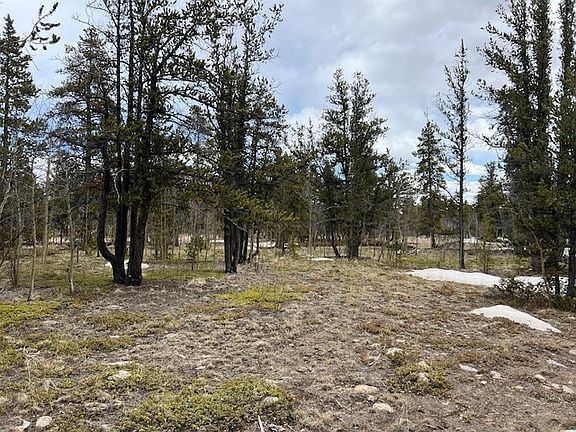 Busch Run Platte Dr, Fairplay, CO 80440 | MLS #S1048452 | Zillow