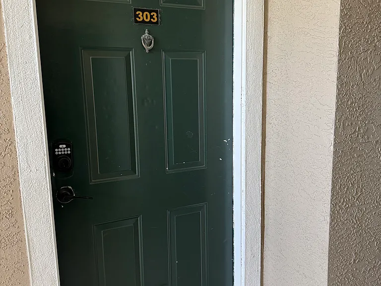 4201 Woodstorks Walk Way — Photo 24