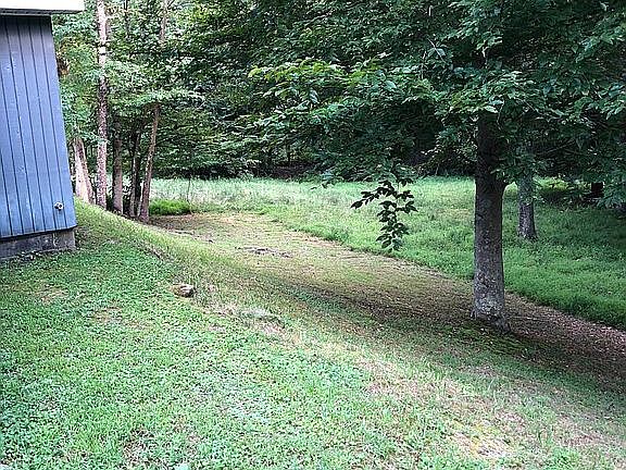 Back yard