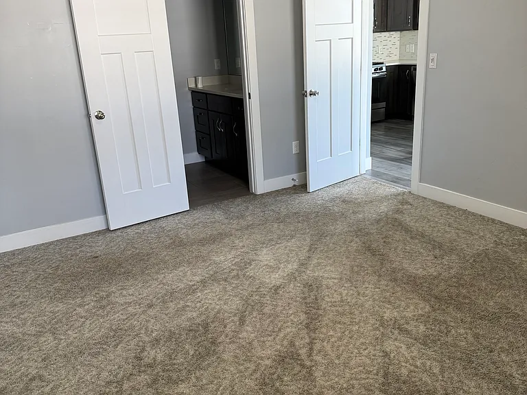 12267 S Macdill Ct — Photo 8