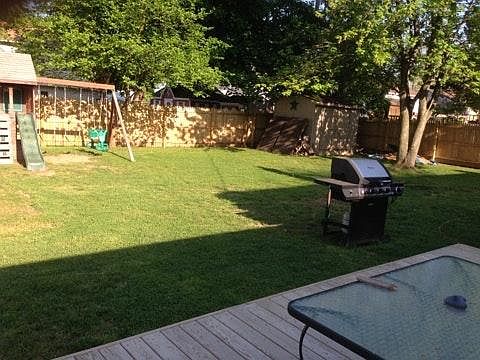 Back Yard