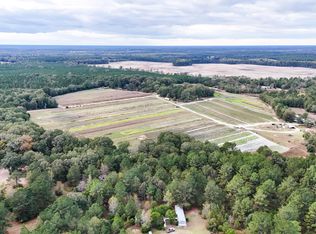 0 Chavis Rd, Blackville, SC 29817
