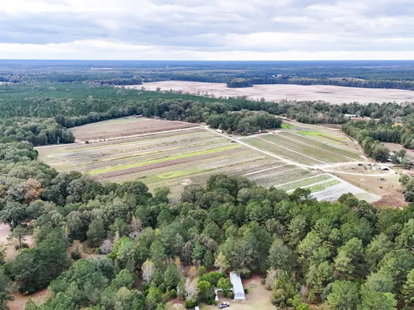 0 Chavis Rd, Blackville, SC 29817