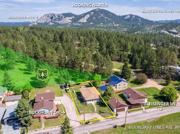 544 Buckhorn Dr, Custer, SD 57730
