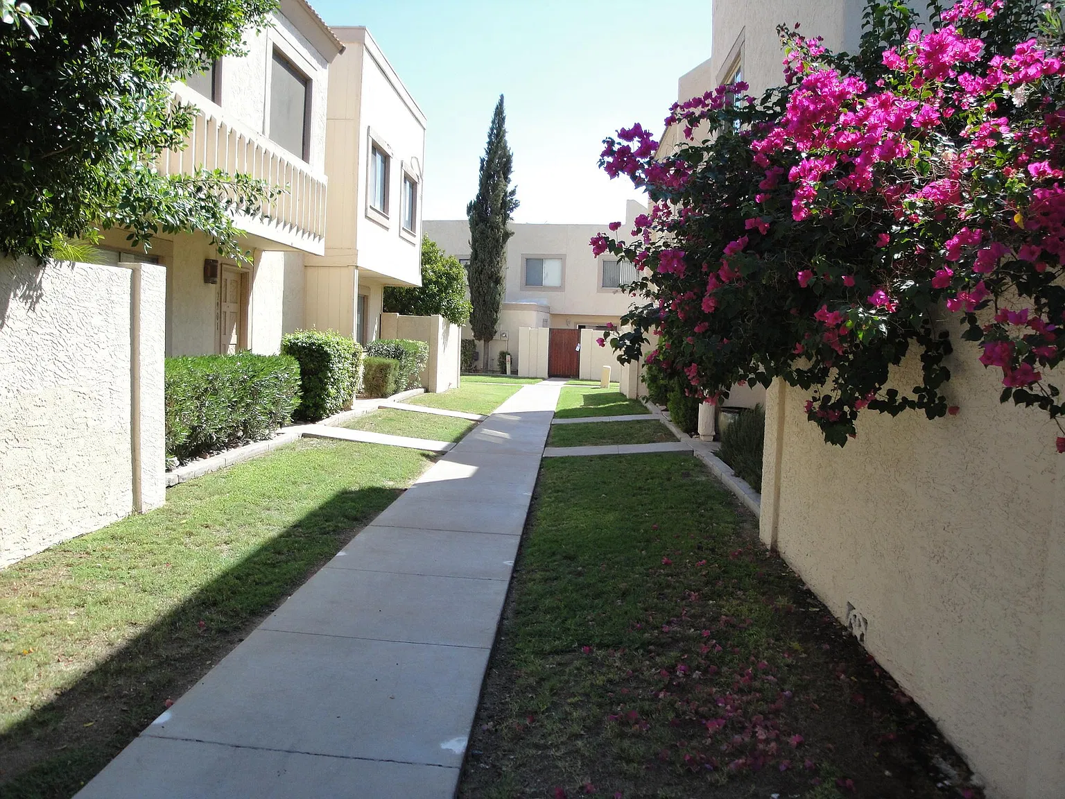 2 bed, 1.5 bath, 924 sqft, $1,875 — Photo 2