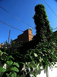 Rented by Gazal International Brokerage Group