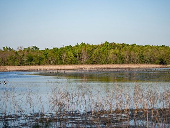 9th image of this home