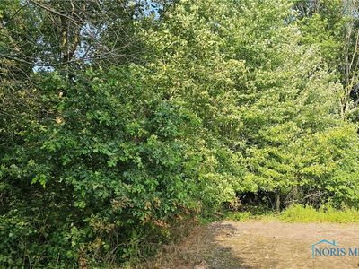 0 W Township Road 108, New Riegel, OH, 44853