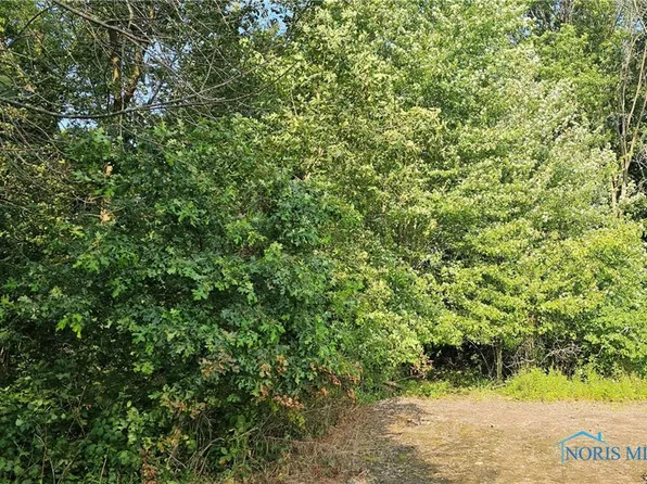 0 W Township Road 108, New Riegel, OH 44853