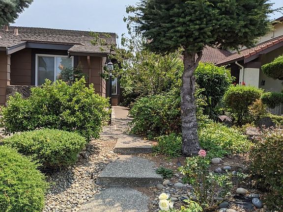 2nd image of 715 Begonia Dr
