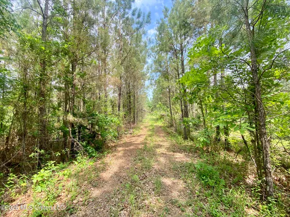 0 Henry Harris Rd, Utica, MS 39175