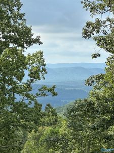 195 County Road 844, Mentone, AL, 35984