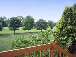 Gorgeous Mountain Views Beyond Tree-lined property