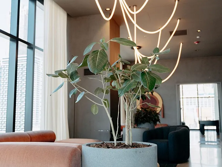 Building's Lounge