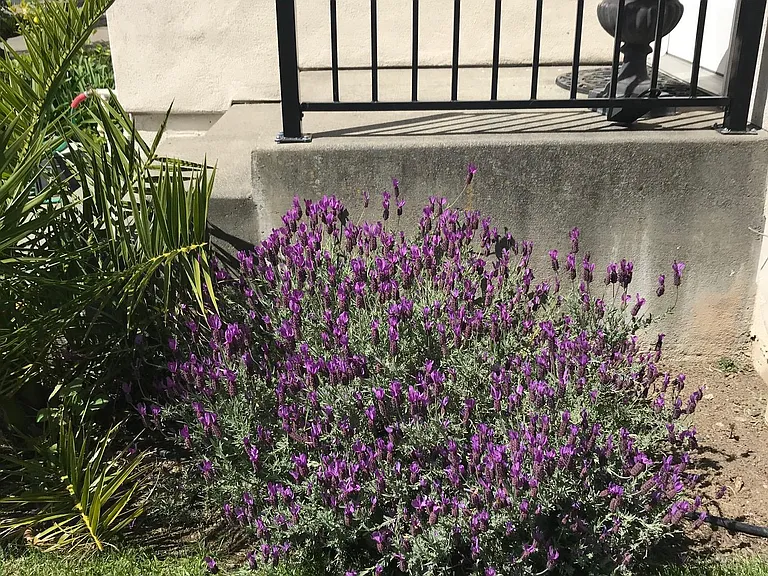 1905 Georgia St — Photo 11