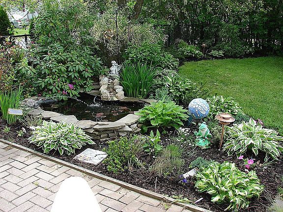 pond