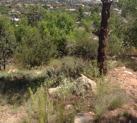 3rd image of 605 N Bagby Dr