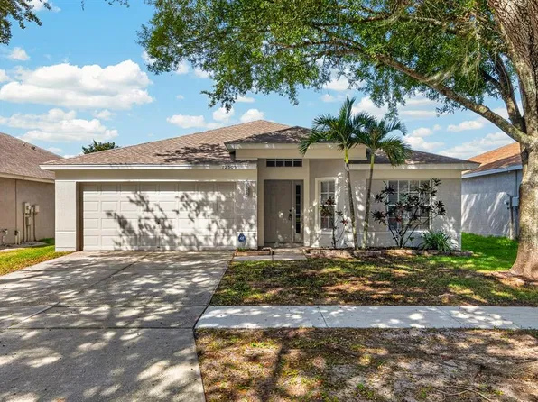 12505 HERONS PATH PLACE, RIVERVIEW, FL 33578